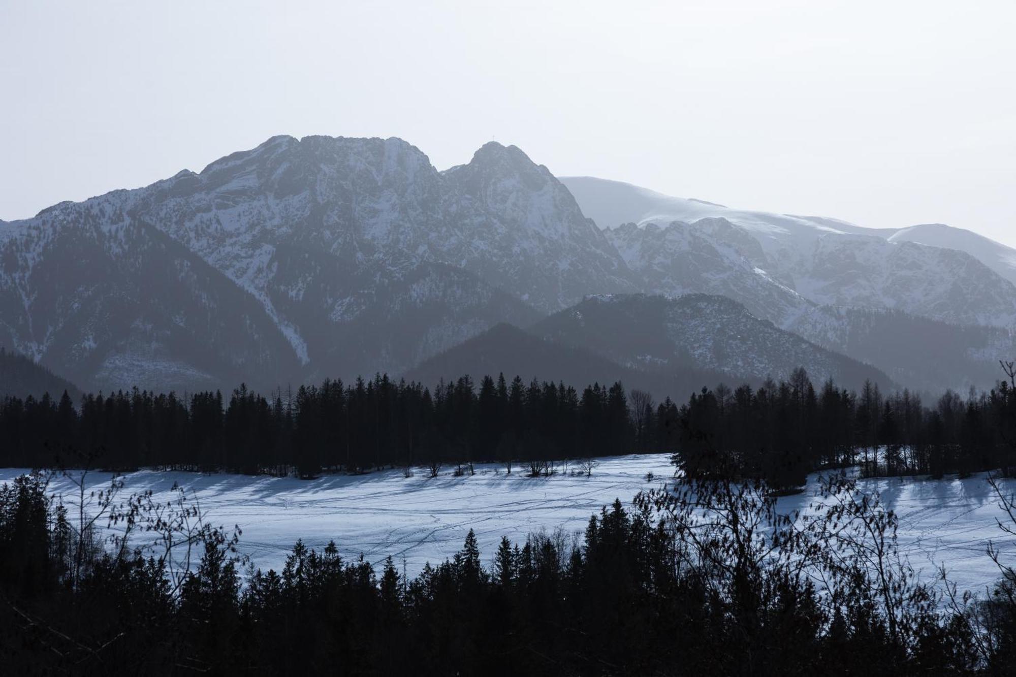 Apartamenty Bachledzki Wierch Zakopane Pokój zdjęcie
